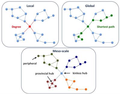 Network, Transcriptomic and Genomic Features Differentiate Genes Relevant for Drug Response